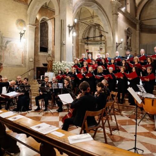 2 Concerto Armonia e Bellezza a Oderzo 3